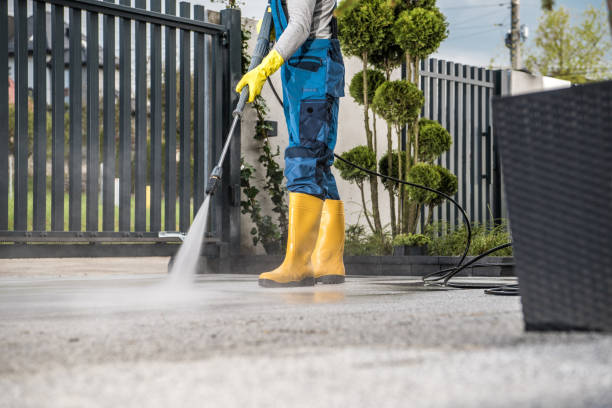 Best Roof Pressure Washing  in North Catasauqua, PA