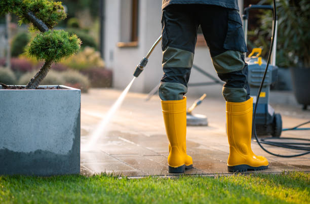 Best Pressure Washing Brick  in North Catasauqua, PA
